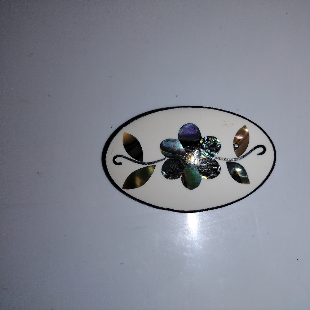 Vintage Mother of Pearl Brooch